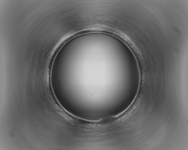 X0000113001232200909031246