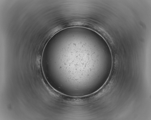 X0000113001233200909031246