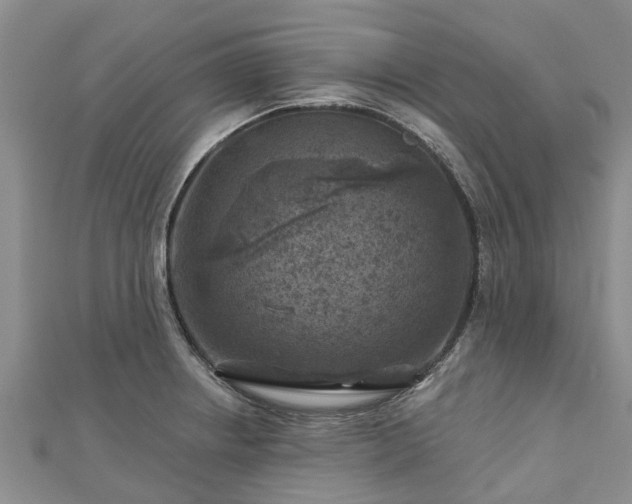 X0000113001234200909031246