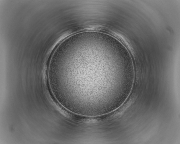 X0000113001235200909031246