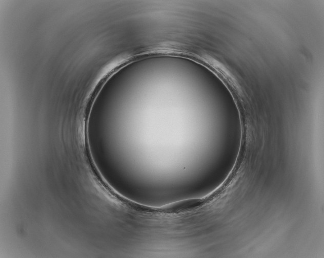 X0000113001238200909031246