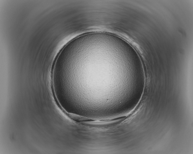 X0000113001239200909031246