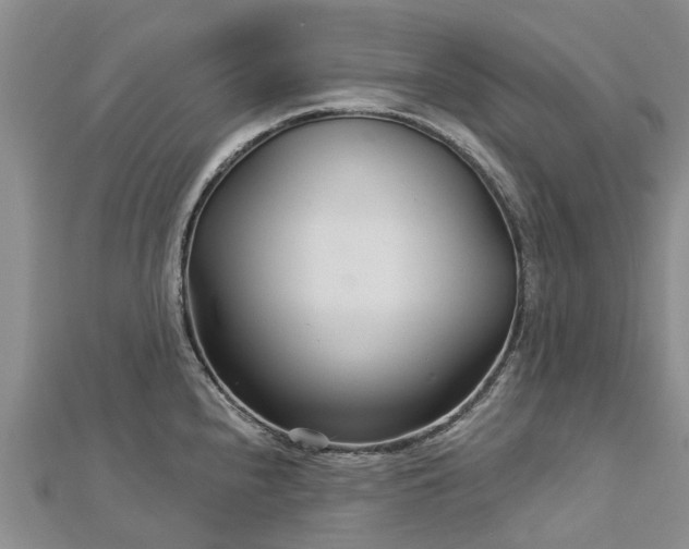 X0000113001240200909031246