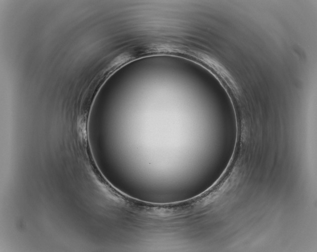 X0000113001241200909031246