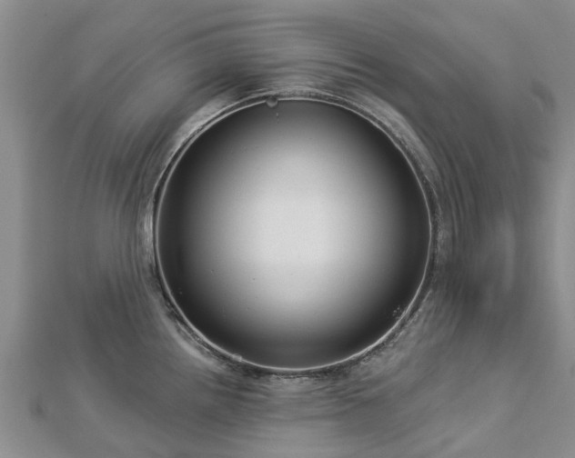 X0000113001242200909031246