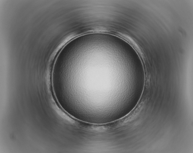 X0000113001243200909031246