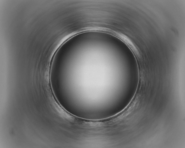 X0000113001244200909031246