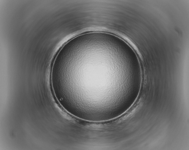 X0000113001245200909031246