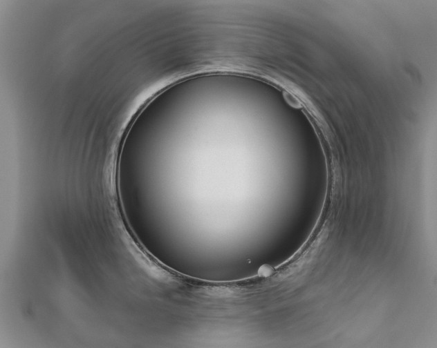 X0000113001246200909031246