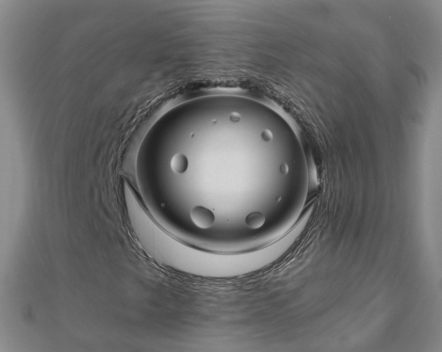 X0000113001249200909031246