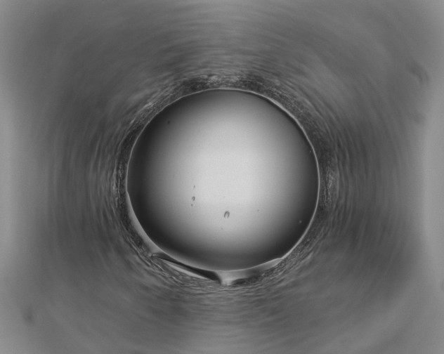 X0000113001250200909031246