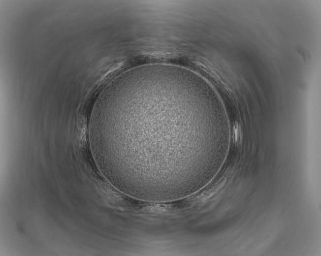 X0000113001251200909031246