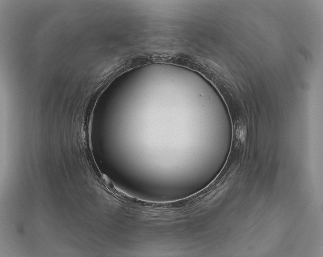 X0000113001252200909031246