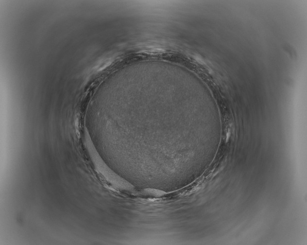 X0000113001253200909031246