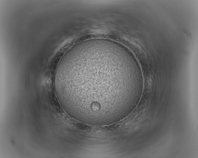 X0000113001254200909031246