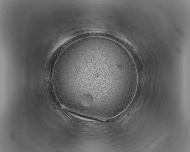 X0000113001255200909031246