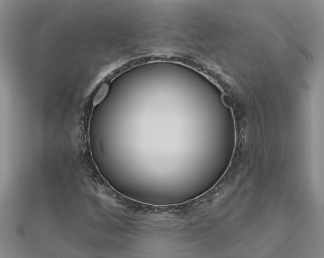 X0000113001256200909031246