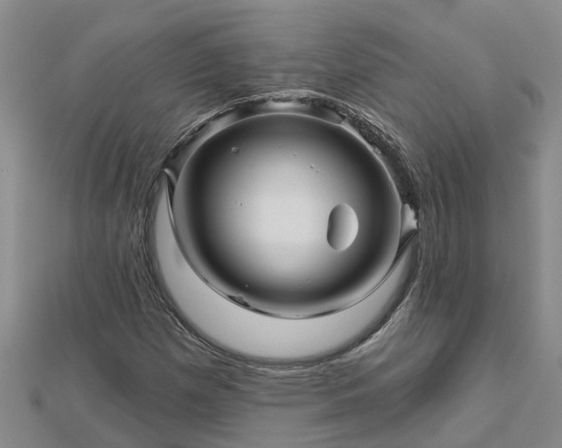 X0000113001257200909031246