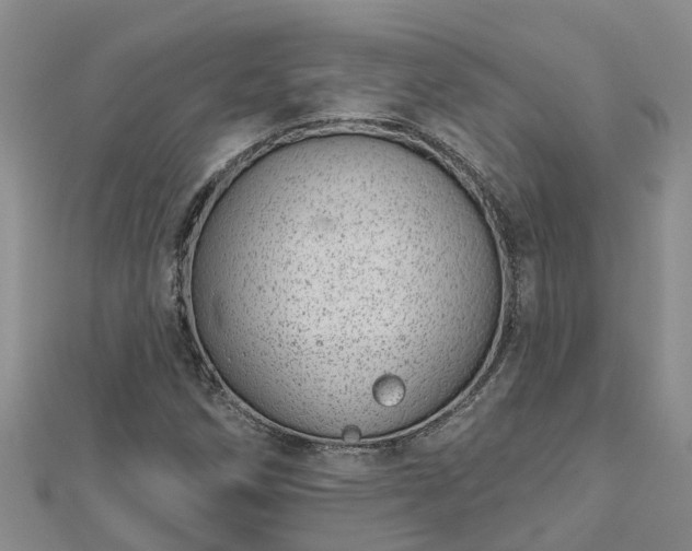 X0000113001258200909031246