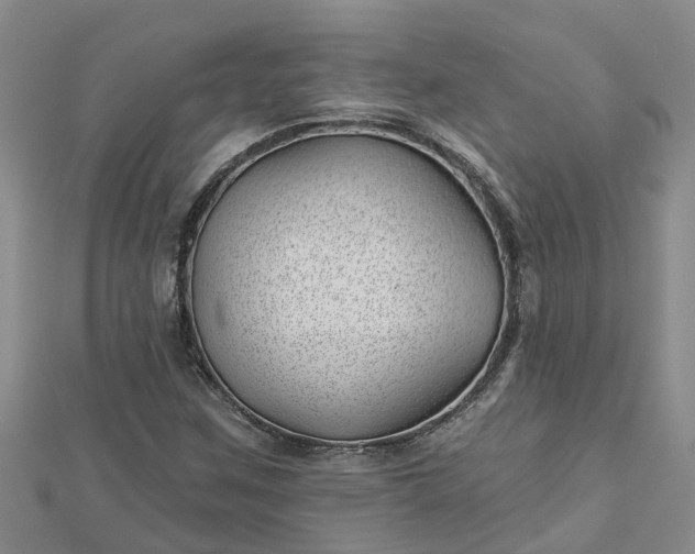 X0000113001259200909031246