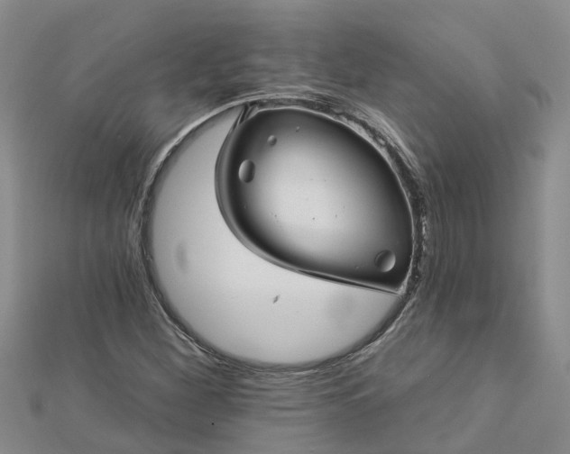 X0000113001260200909031246