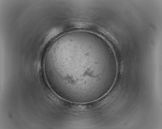 X0000113001261200909031246