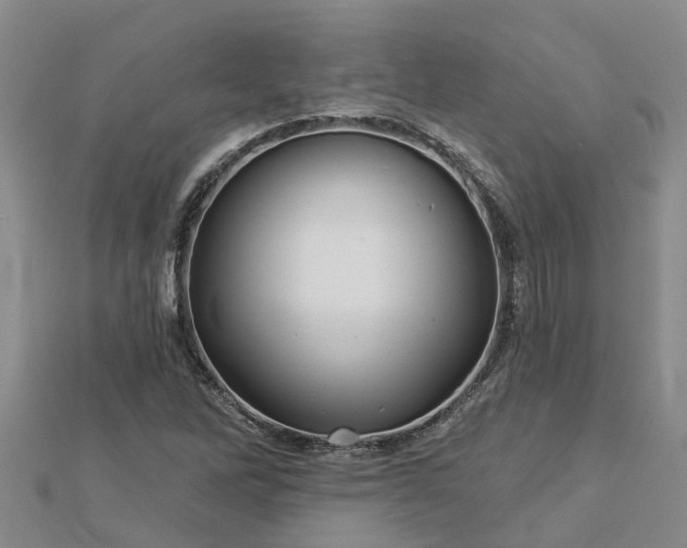 X0000113001262200909031246