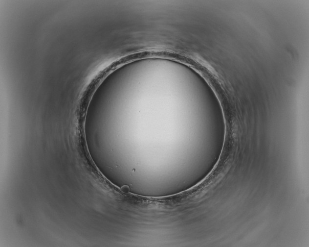 X0000113001263200909031246