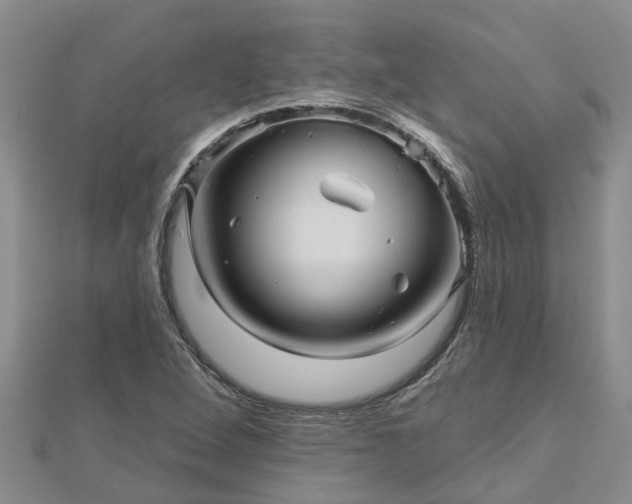 X0000113001264200909031246