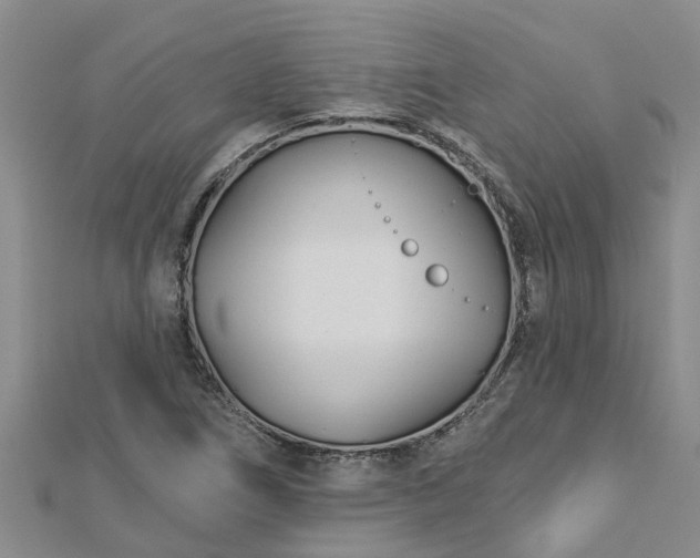 X0000113001266200909031246