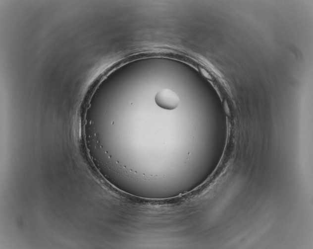 X0000113001269200909031246