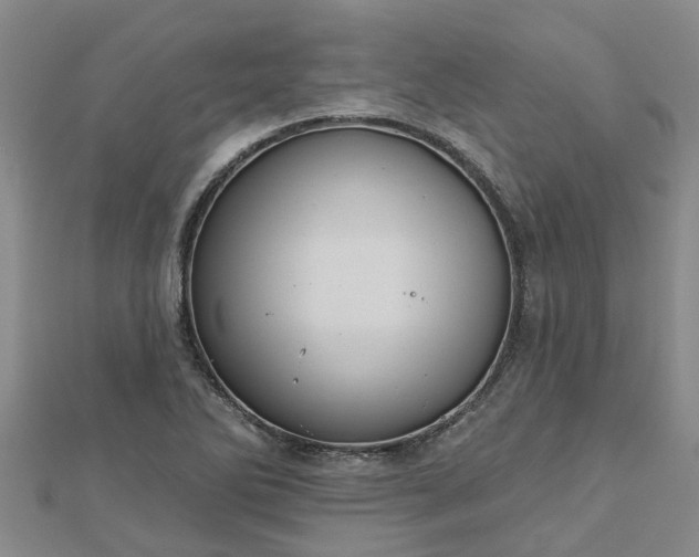 X0000113001270200909031246