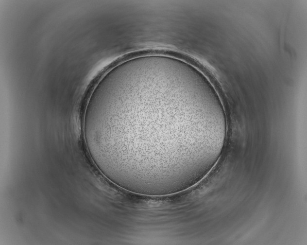 X0000113001271200909031245