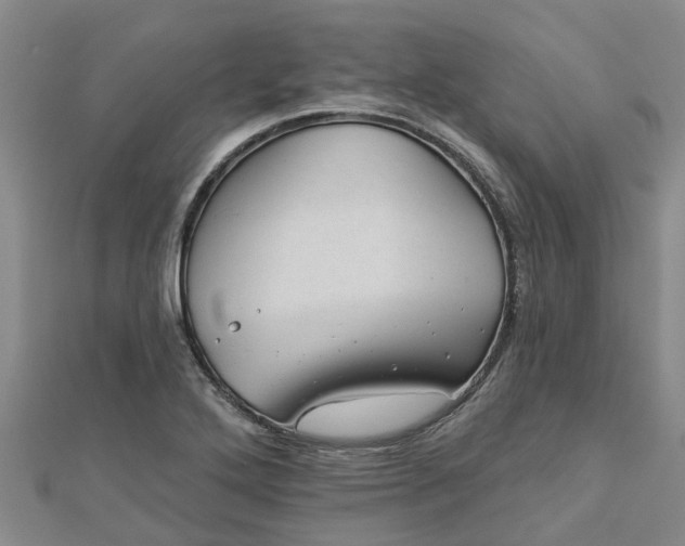 X0000113001272200909031245