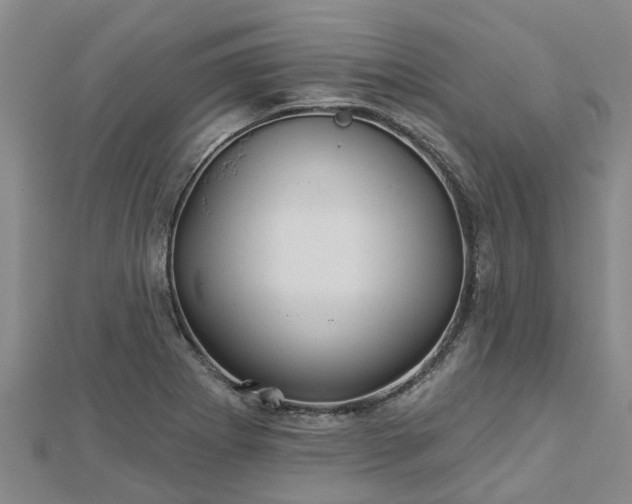 X0000113001273200909031245