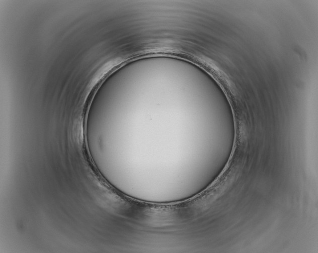 X0000113001274200909031245