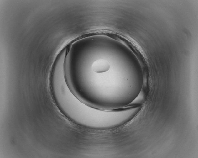 X0000113001277200909031245