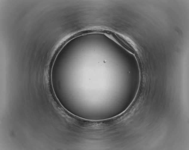 X0000113001279200909031245