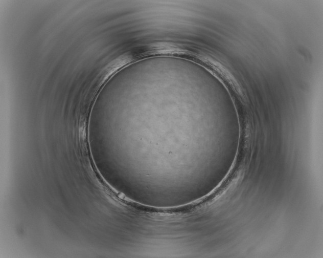 X0000113001281200909031245