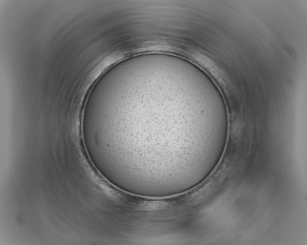 X0000113001282200909031245