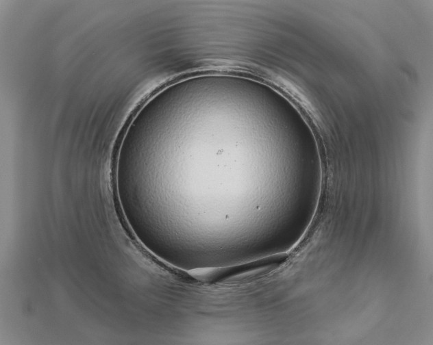 X0000113001283200909031245