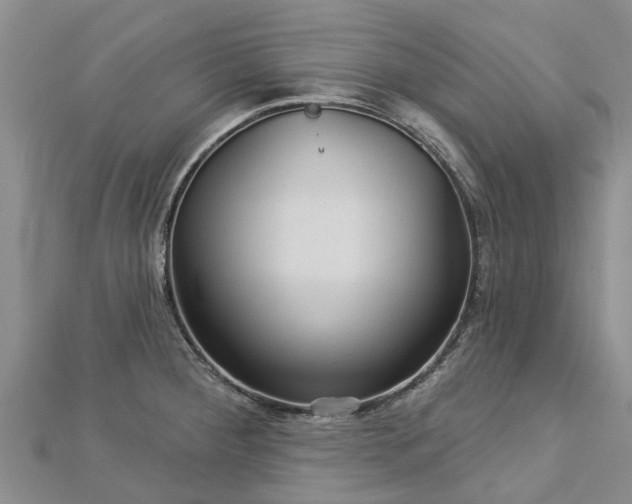 X0000113001284200909031245