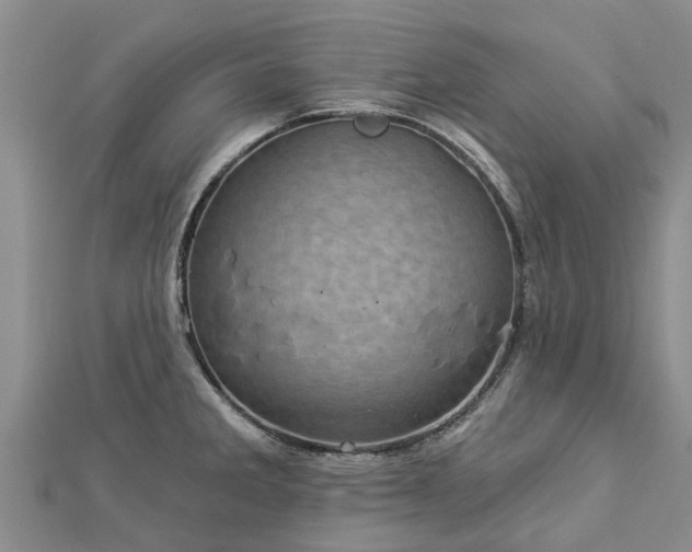 X0000113001285200909031245