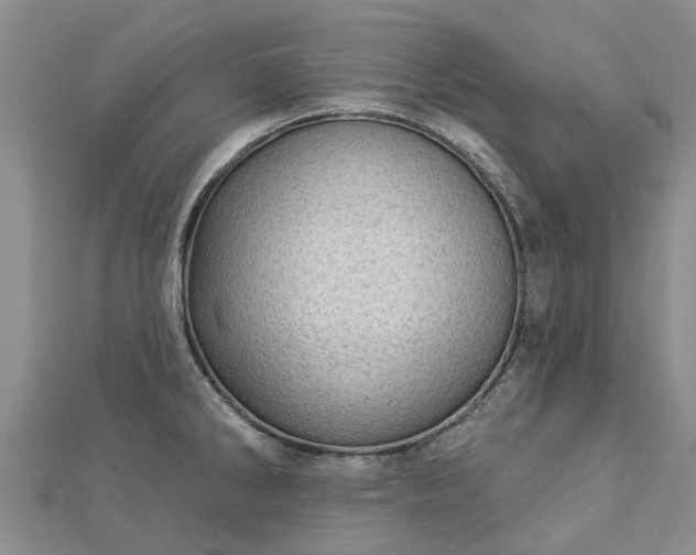 X0000113001286200909031245