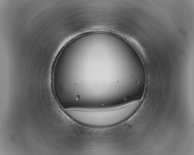 X0000113001288200909031245