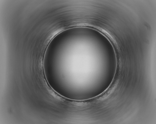 X0000113001289200909031245