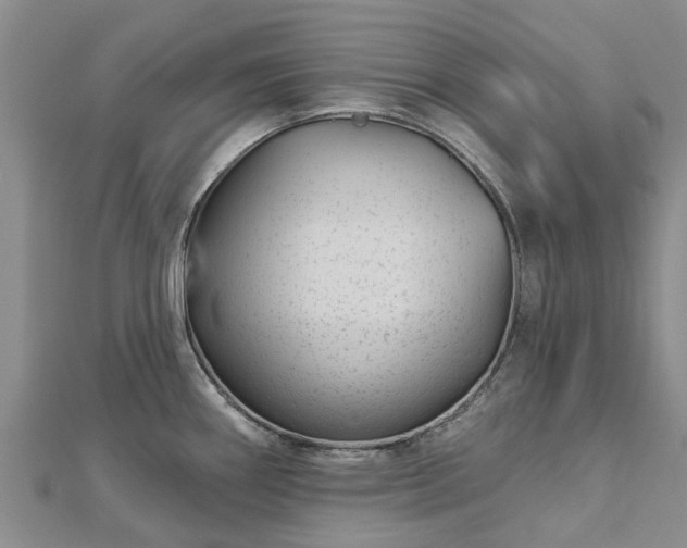 X0000113001290200909031245