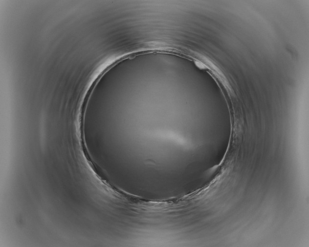 X0000113001291200909031245