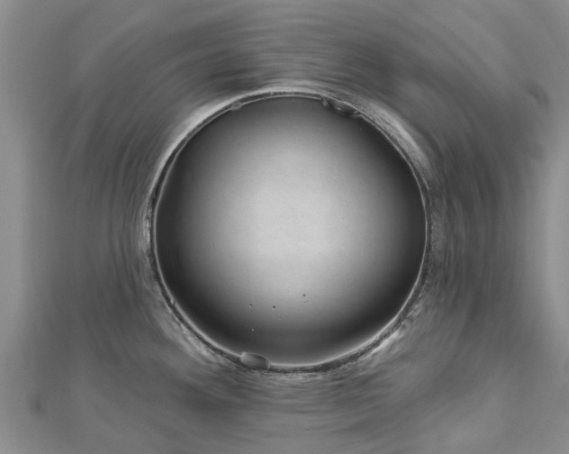 X0000113001292200909031245