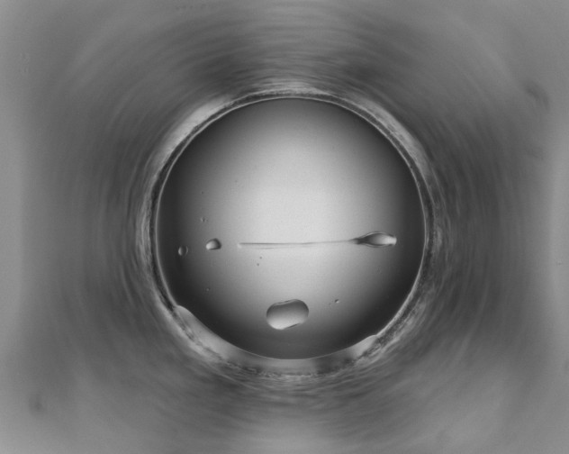 X0000113001293200909031245